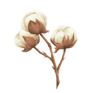 منتجات قطنية 100%